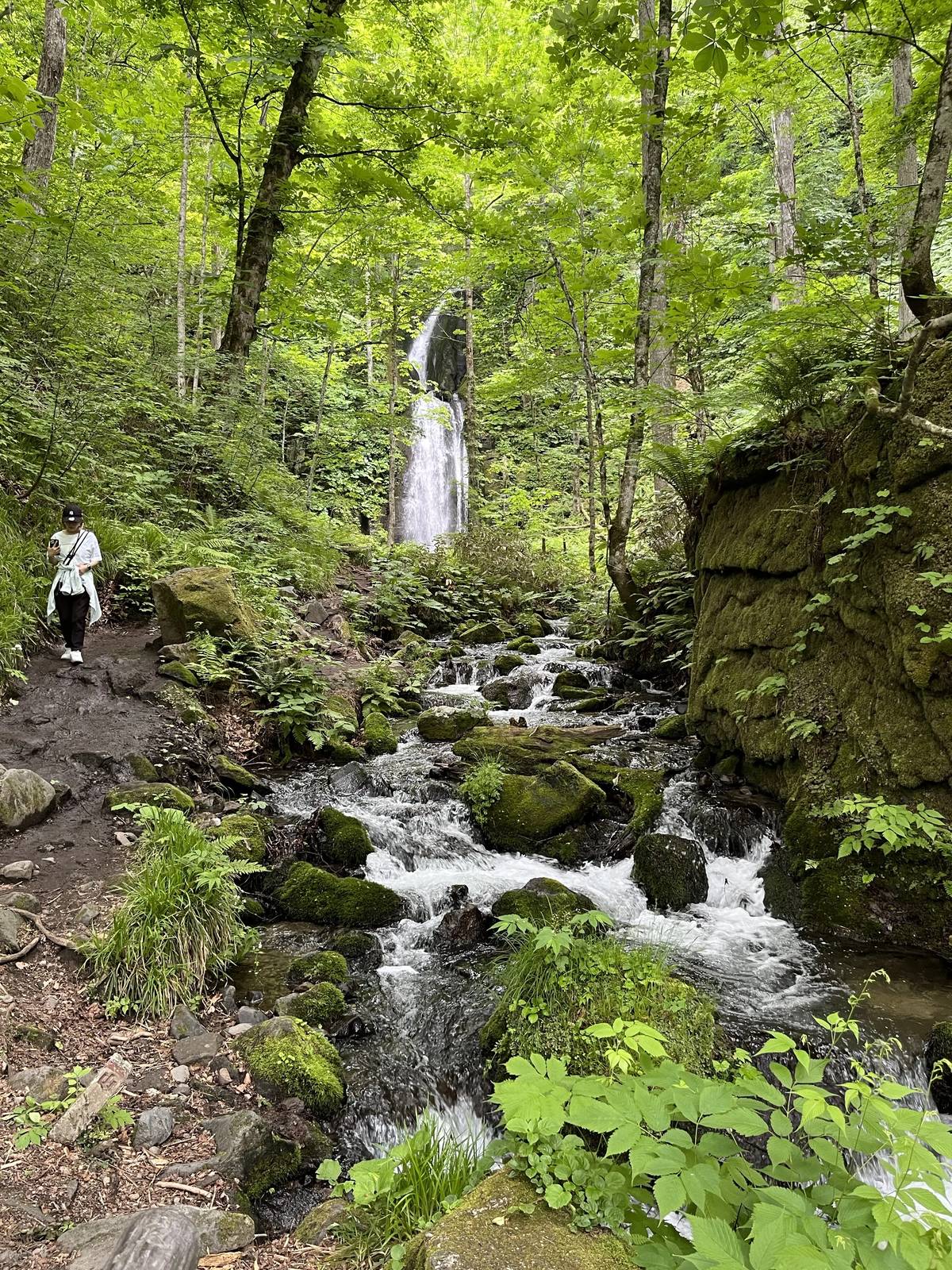 Oirase-Keiryu-Hiking-14