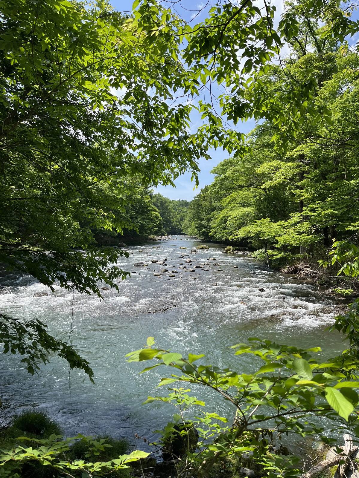 Oirase-Keiryu-Hiking-2