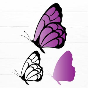 Layered Butterfly For Cricut And Silhouette | SVG, DXF, PDF ,PNG, EPS