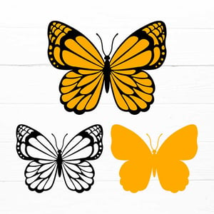 Layered Butterfly Template V.5