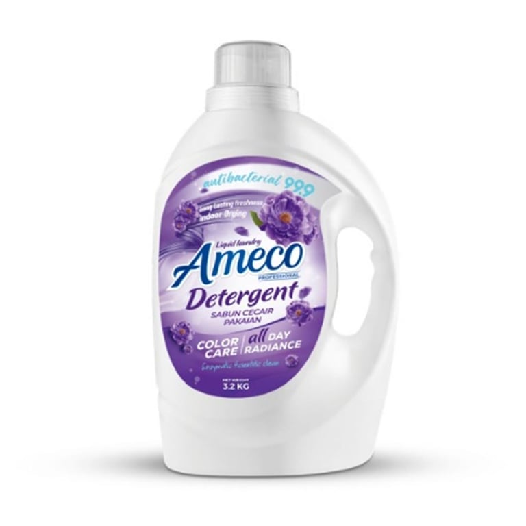 AMECO PROFESSIONAL