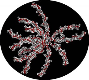 An image showing a closeup of a Viscosity Modifier (VM) polymer molecule, also know as a Viscosity Index Improver (VII).