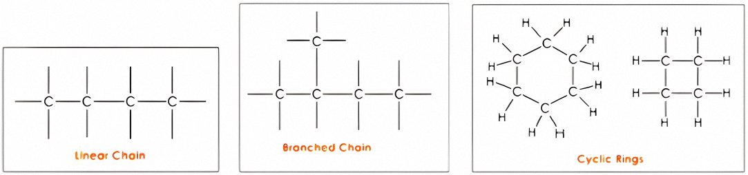 An image showing three different Hydrocarbon molecule chains. It shows a diagrams of a Linear Chain, a Branched Chain, and Cyclic Rings.