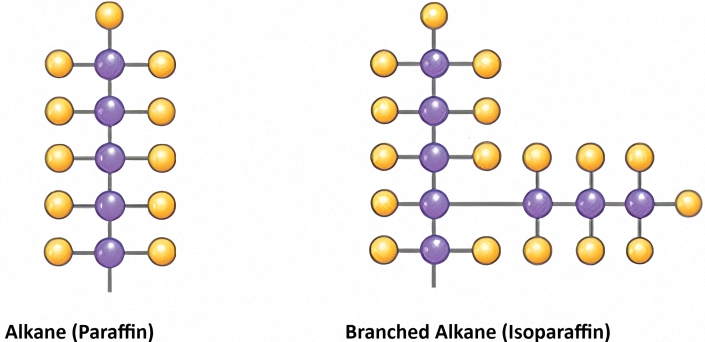 An image or diagram showing an Alkane or Paraffin molecule and a Branched Alkane or Isoparaffin molecule which are saturated hydrocarbons. 