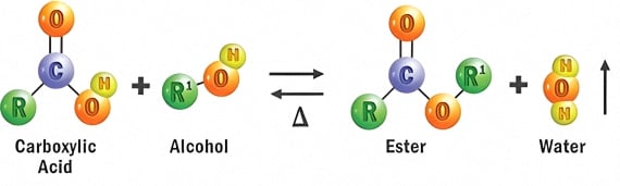 A model of the esterification process that forms synthetic Ester molecules. Esters are formed by condensing an acid with an alcohol (with the elimination of water, which is a by-product of the esterification reaction).