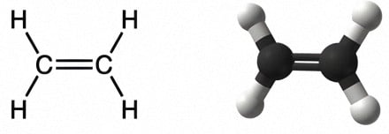 An image of an Alpha-Olefin, which is an alkene with the carbon-carbon double bond starts at the alpha-carbon atom.