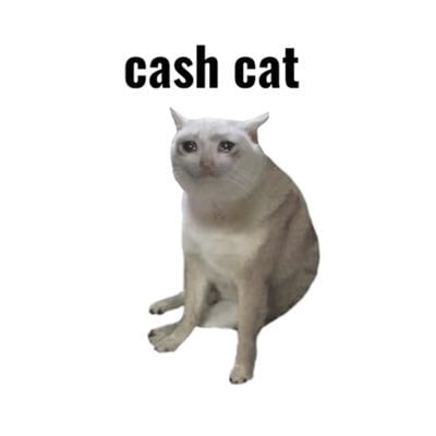 Cash Cat