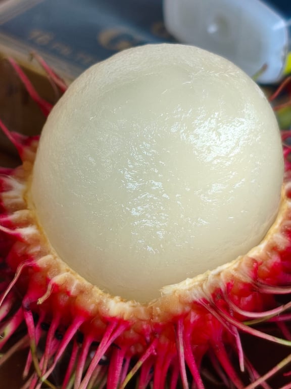 Rambutan