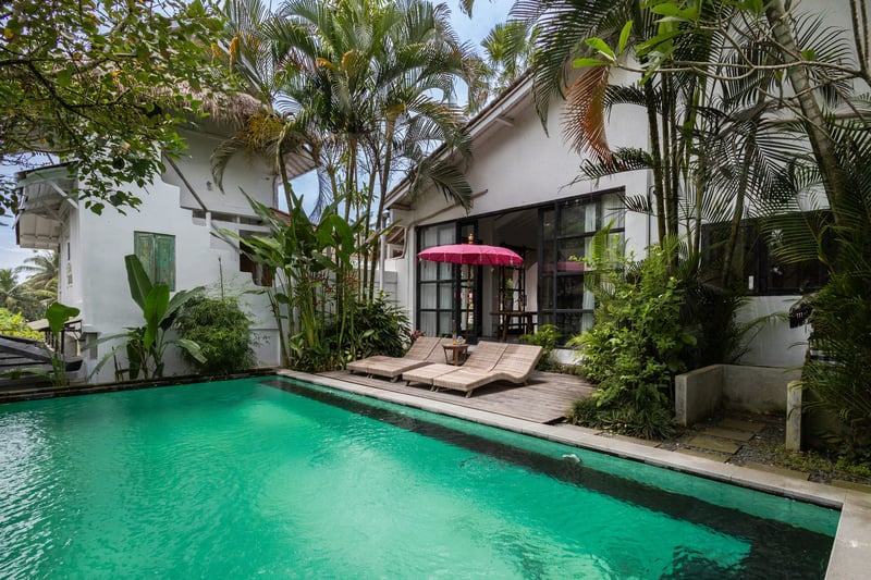 Trinity Gardens Wild BeautifulJungle Villa — photo 4