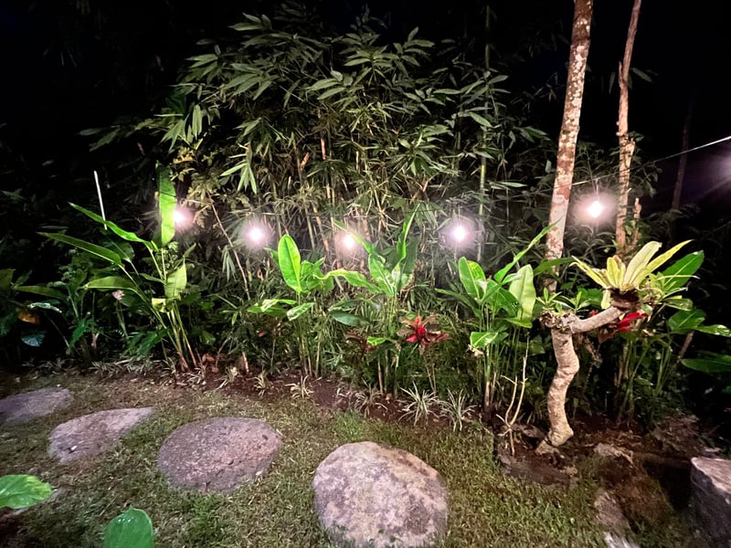 Swargana cabin 31