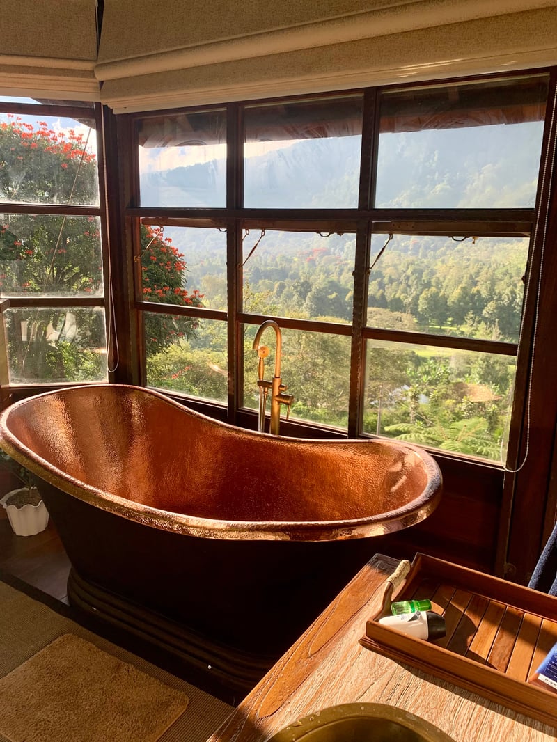 Bedugul Mountain Chalet beside 3,000 ha of forest 23