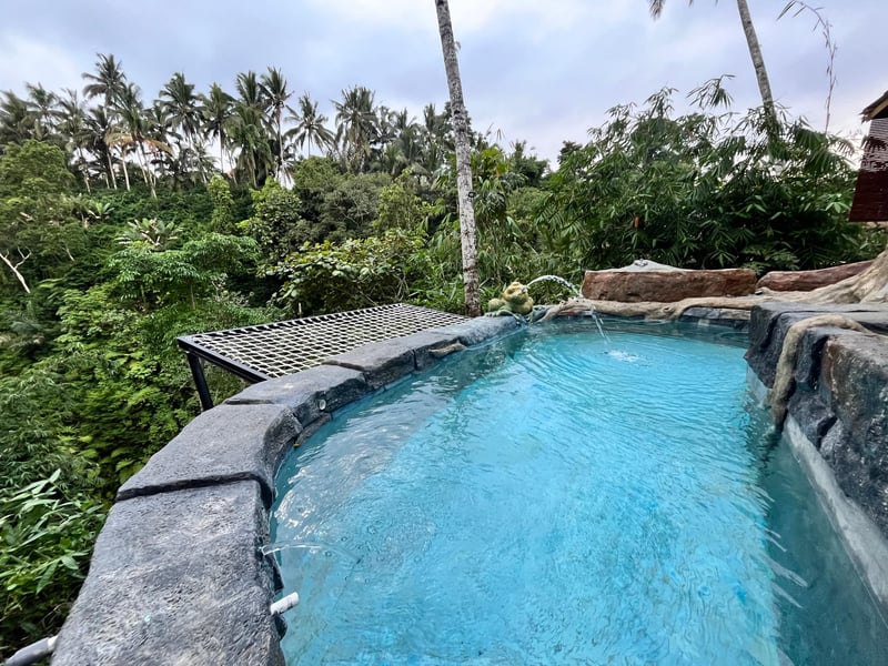 Swargana cabin — photo 5