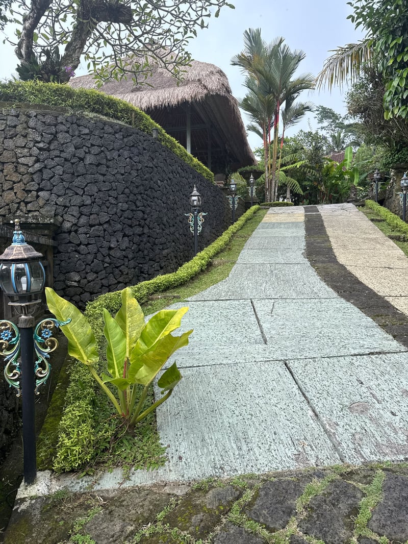 1bedroom with rice field view (Best tour deal) 9