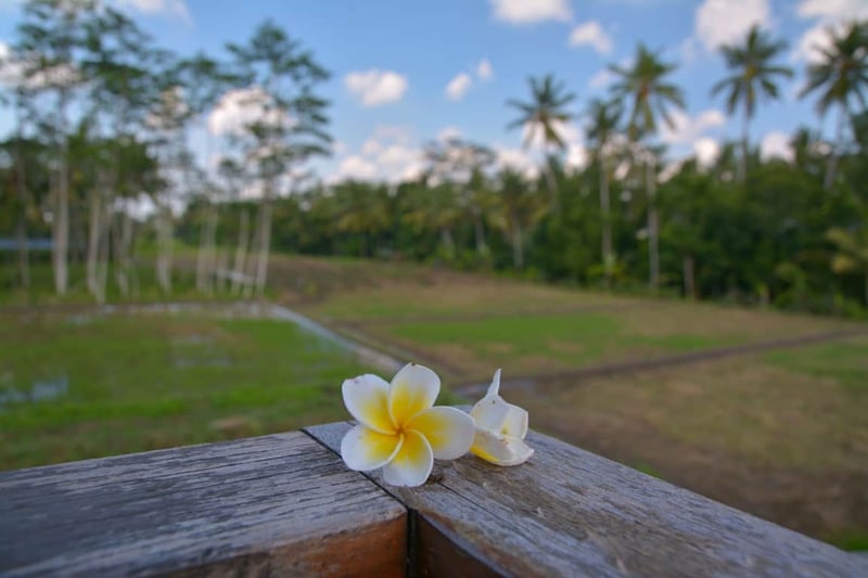 Villa Lumia Bali 28