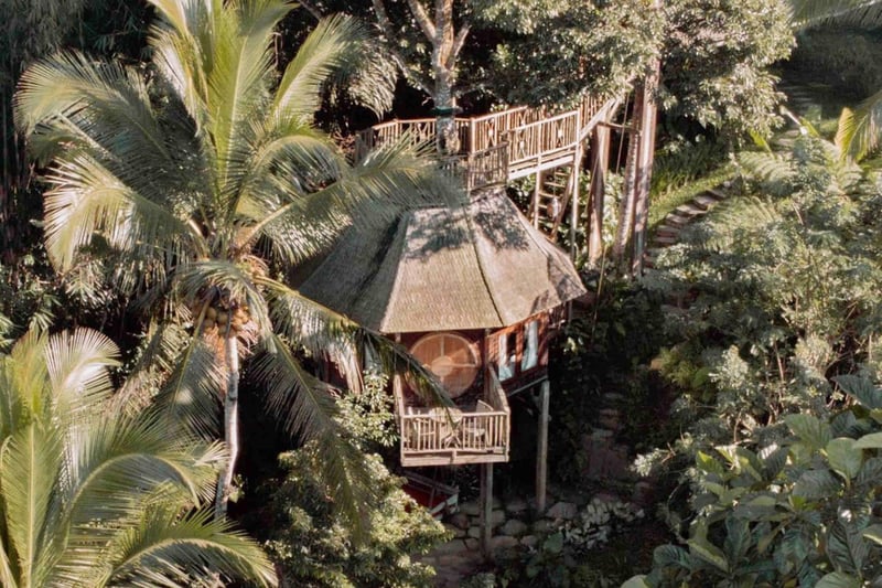 Enchanted Hobbit Treehouse Nestled in the Jungle 6