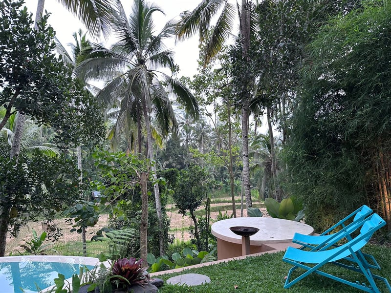 Umatreehouse. ecotreehouse_ bamboo house bali 12