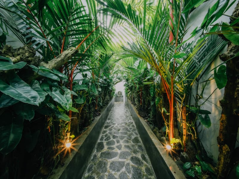 Pabuan Art Space, Private, Fresh & Ethnical 11