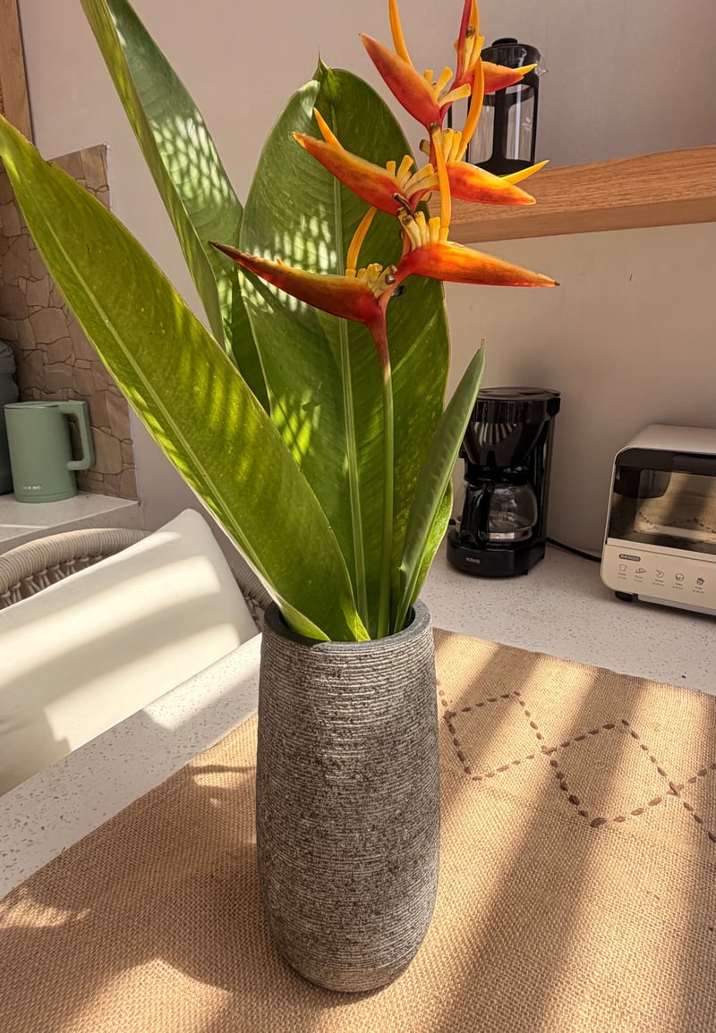 TONI 27, NEW, Ricefield View & Skybed, 2 Bed 15