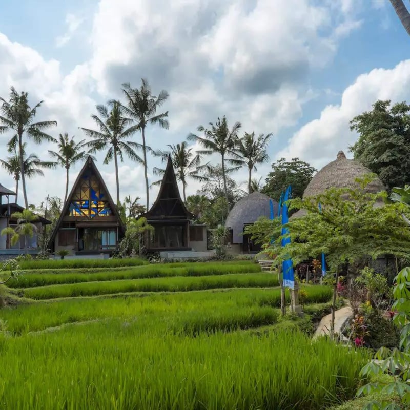 Menzel Ubud - One Bedroom Ethnic Villa, Plunge Pool 22