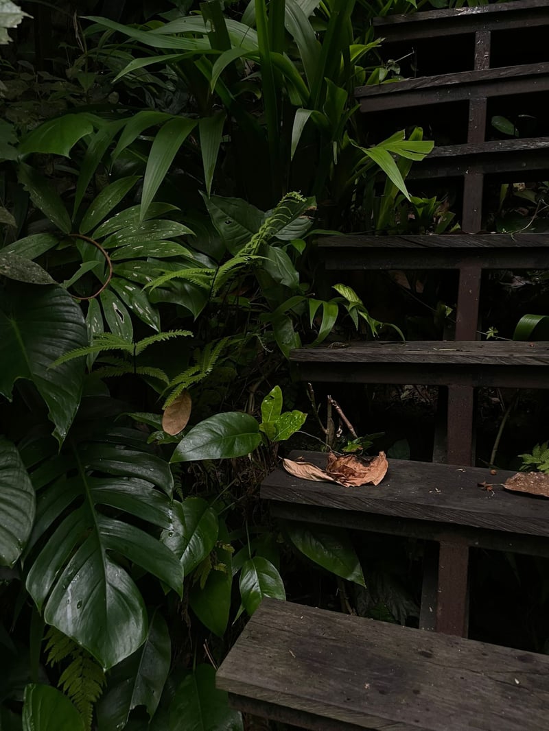 Ubud Zen River House 9