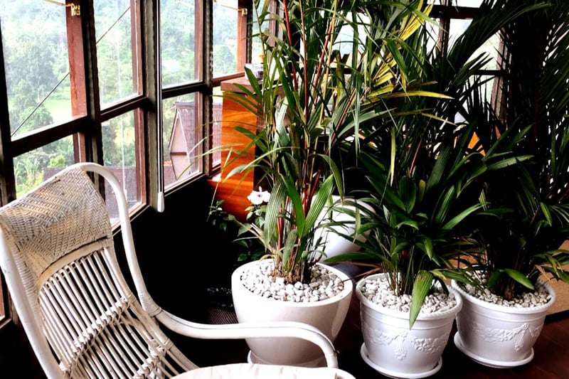 Bedugul Mountain Chalet beside 3,000 ha of forest 26
