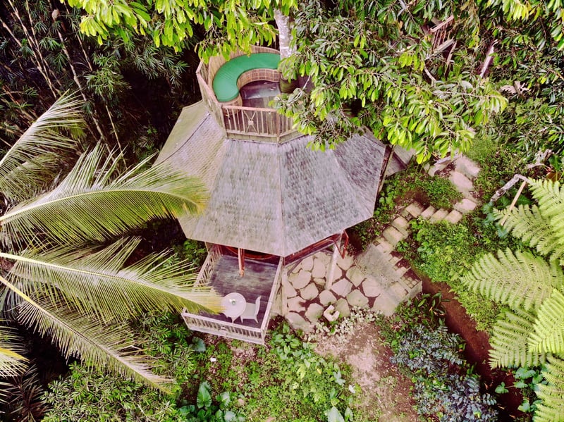 Enchanted Hobbit Treehouse Nestled in the Jungle 20