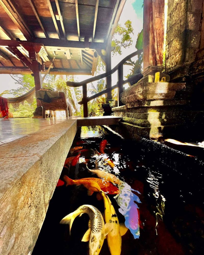 Ki Ma Ya Retreat, Zen Sanctuary 9