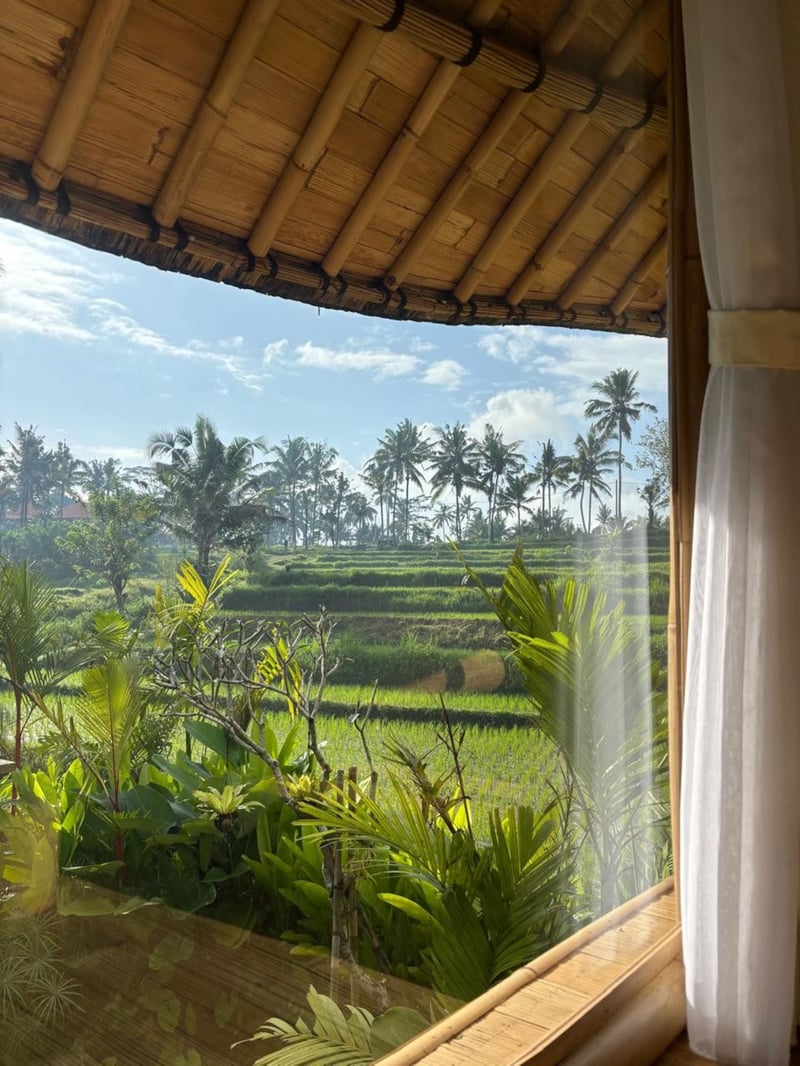 Sanding Bamboo Villa - An Idyllic Jungle Retreat 1