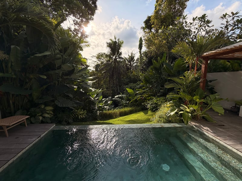 Ubud stylish jungle pool villa — photo 2