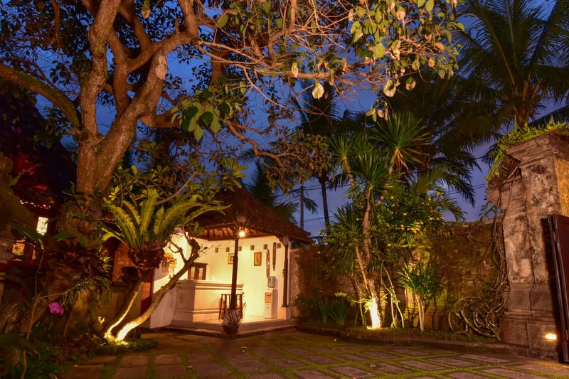 Rumah Capung Ubud Full Resort (3 Villas) — photo 4