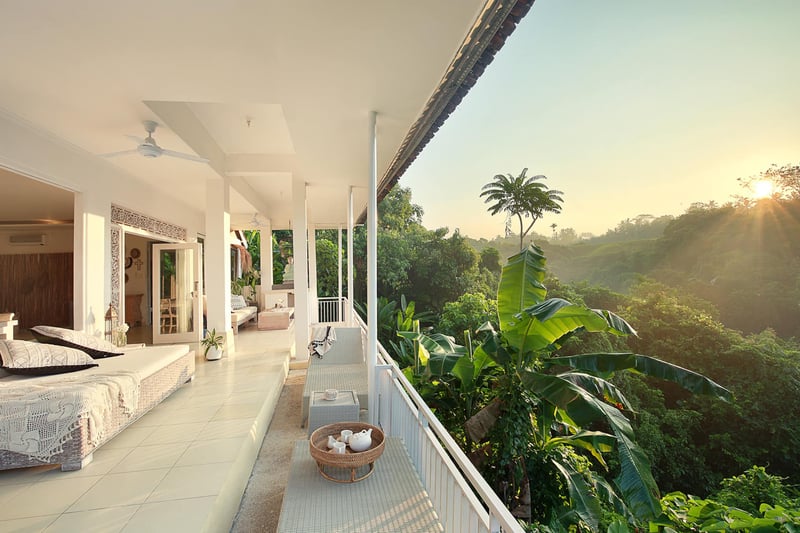 Shimha Jungle Retreat 6