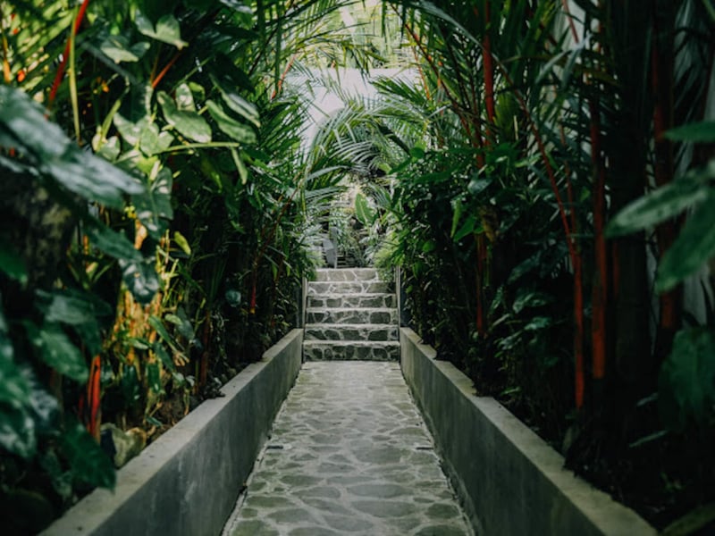 Pabuan Art Space, Private, Fresh & Ethnical 10