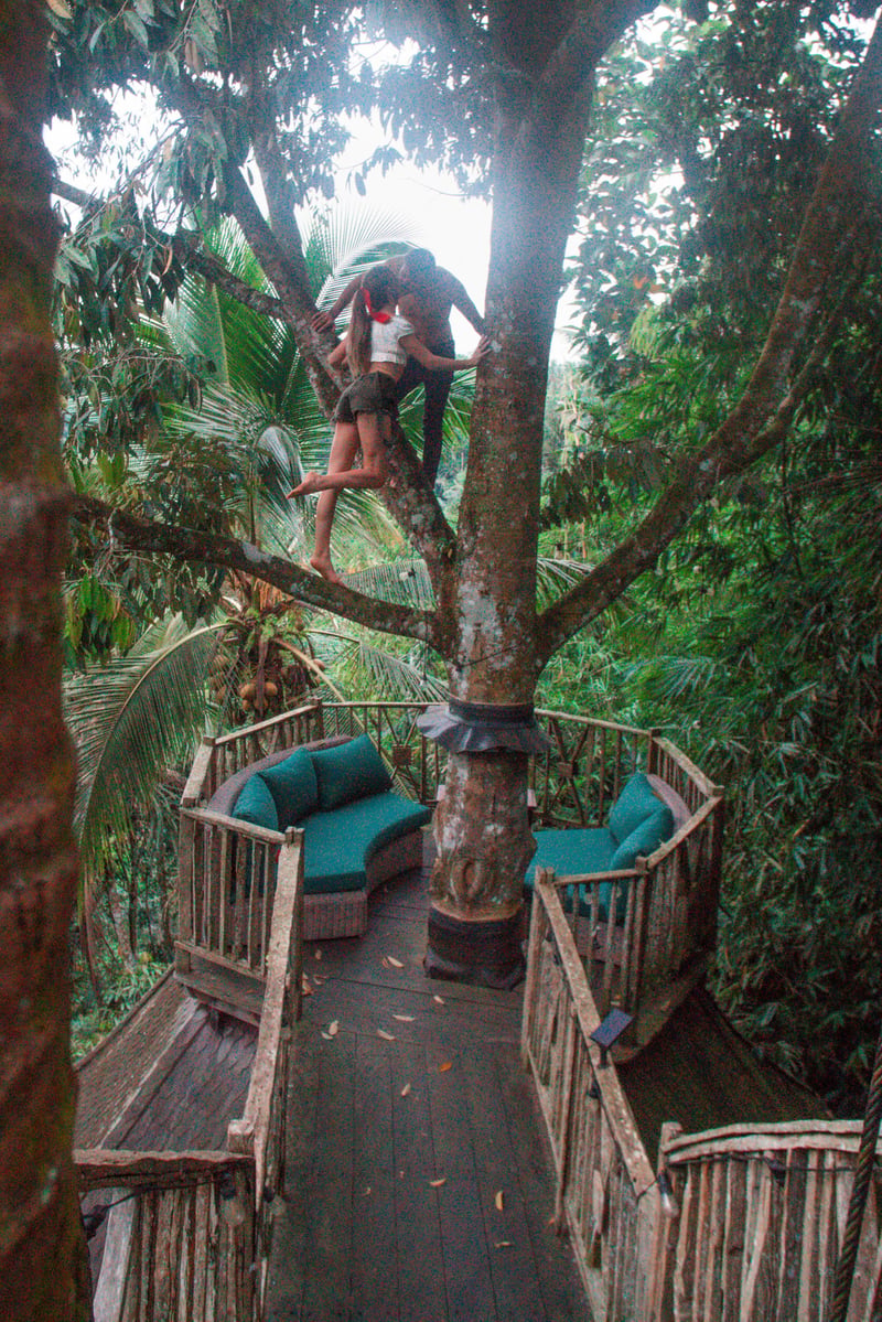 Enchanted Hobbit Treehouse Nestled in the Jungle — photo 3