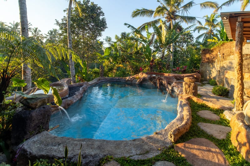 private jungle cabin + private poll + jungle view 37