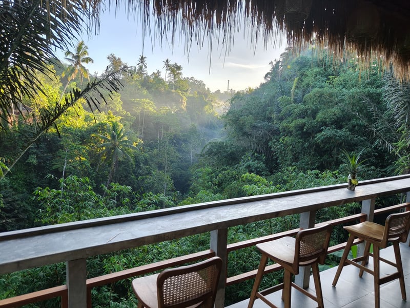Art & Nature _ Ganesha Guesthouse - room 1. 1