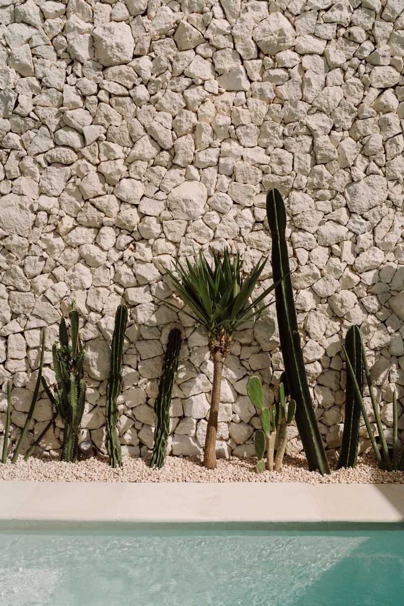 Tulá 7