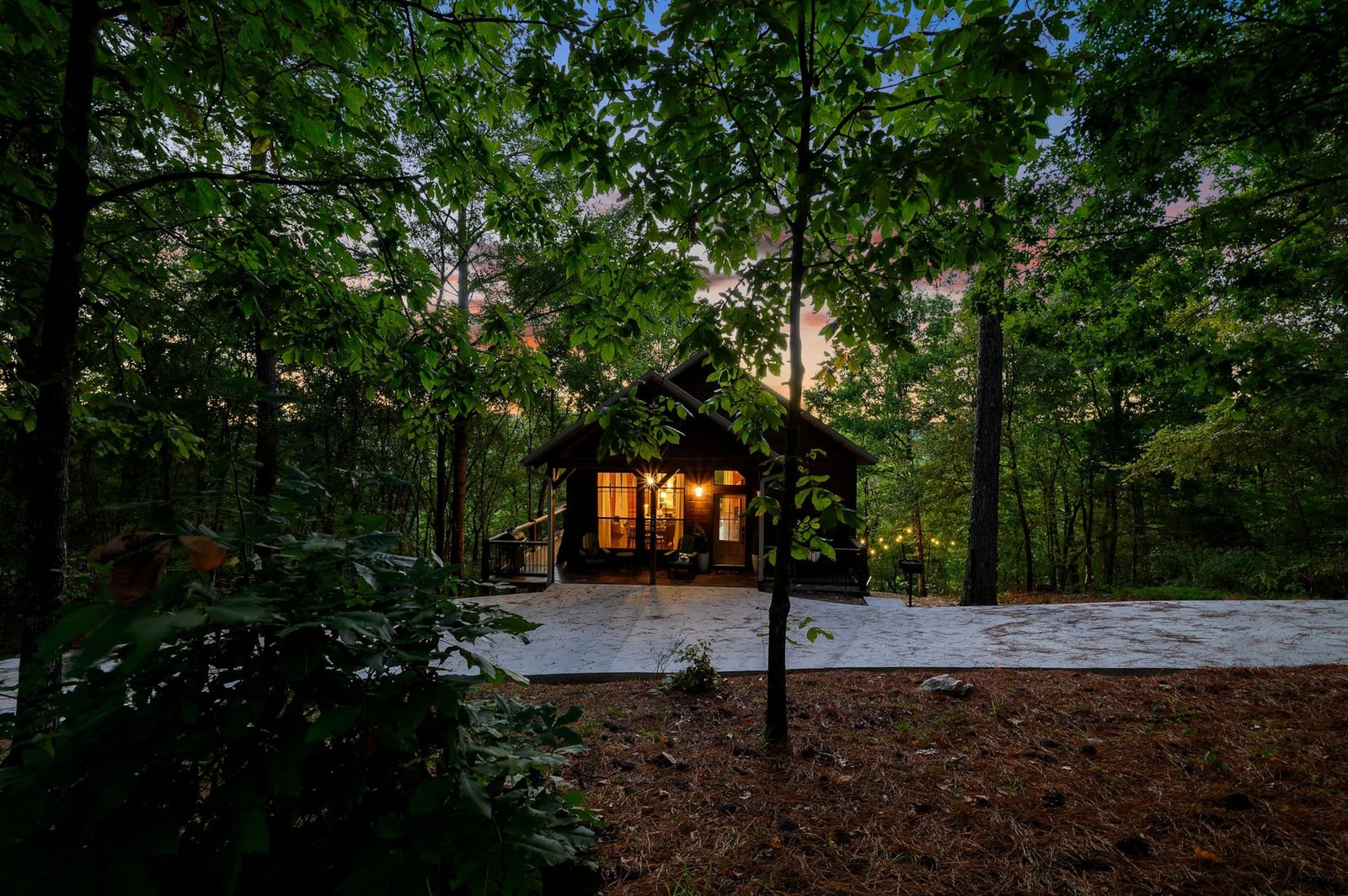 OMG Views Cabin — photo 2