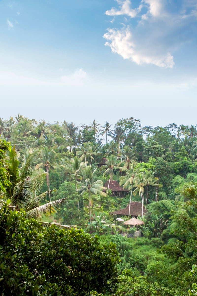 Mahadevi 3- Serviced Jungle Joglo near Ubud + Pool 16