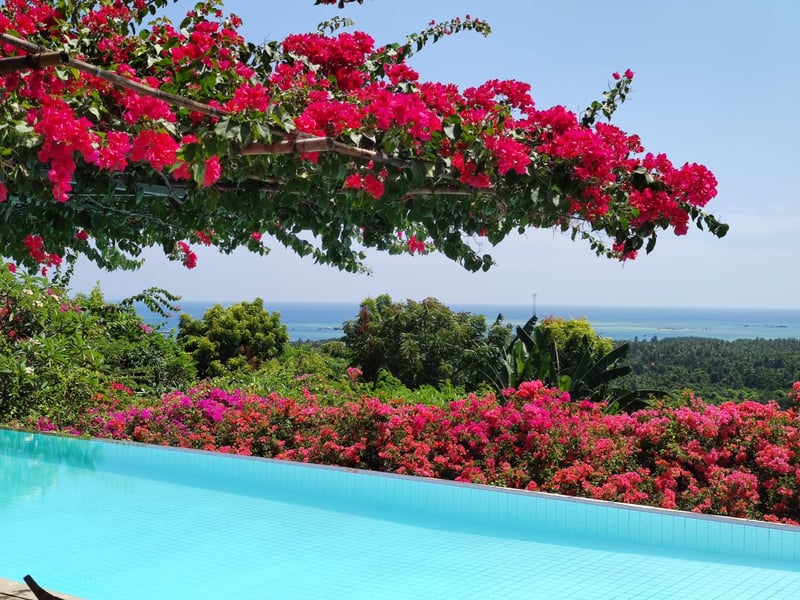 Villa Singa 8