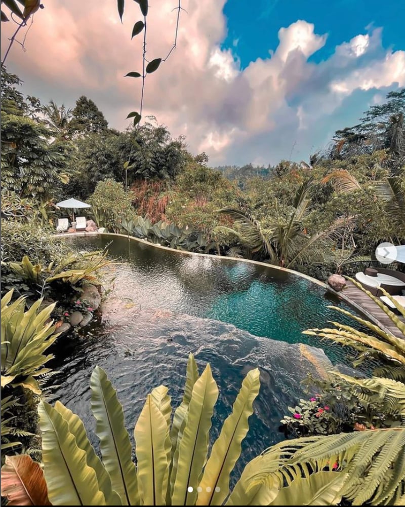 Enchanted Hobbit Treehouse Nestled in the Jungle 23