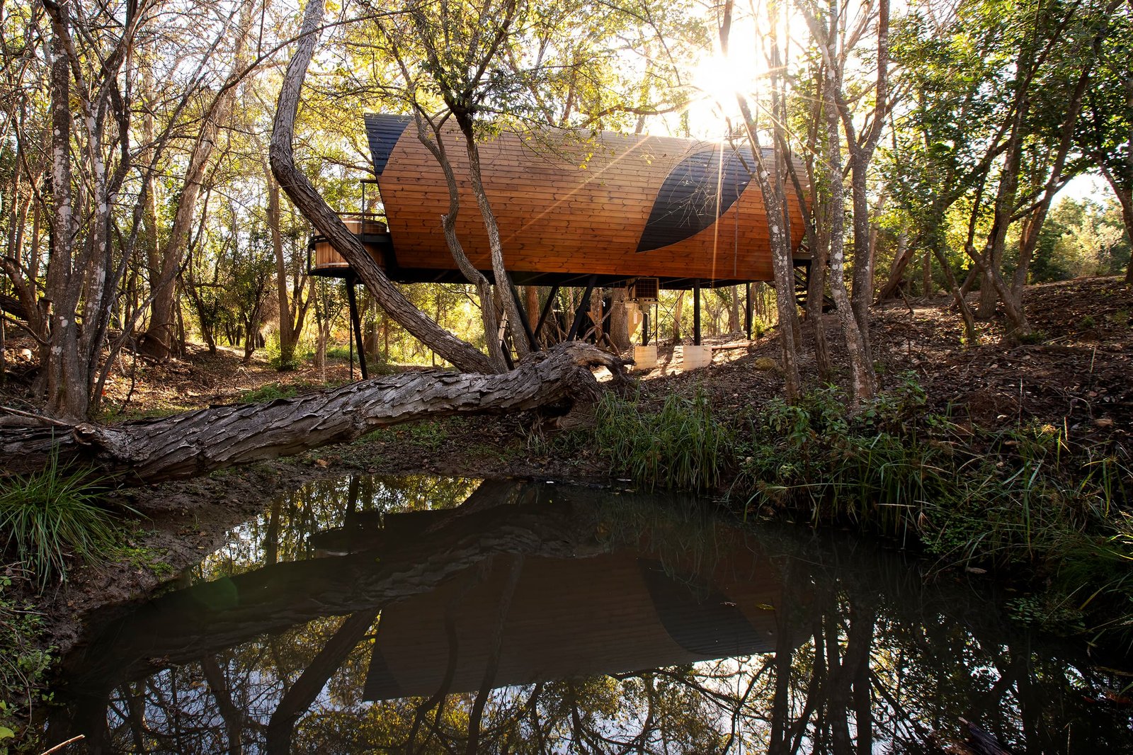Onera Fredericksburg — photo 2