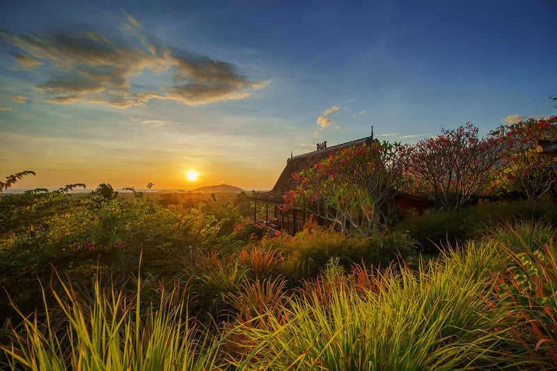 Basuki wooden house 1