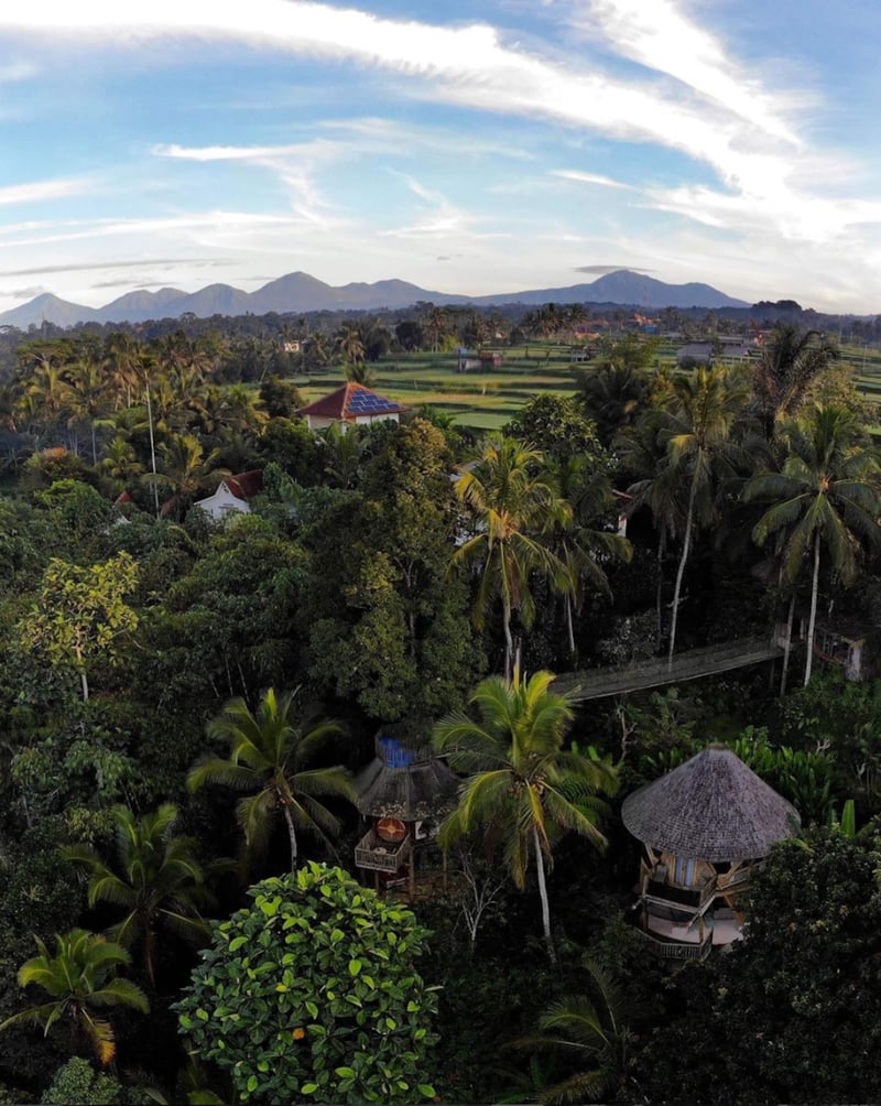 Beautiful Bamboo Treehouse w/ Jungle & Valley View — photo 4