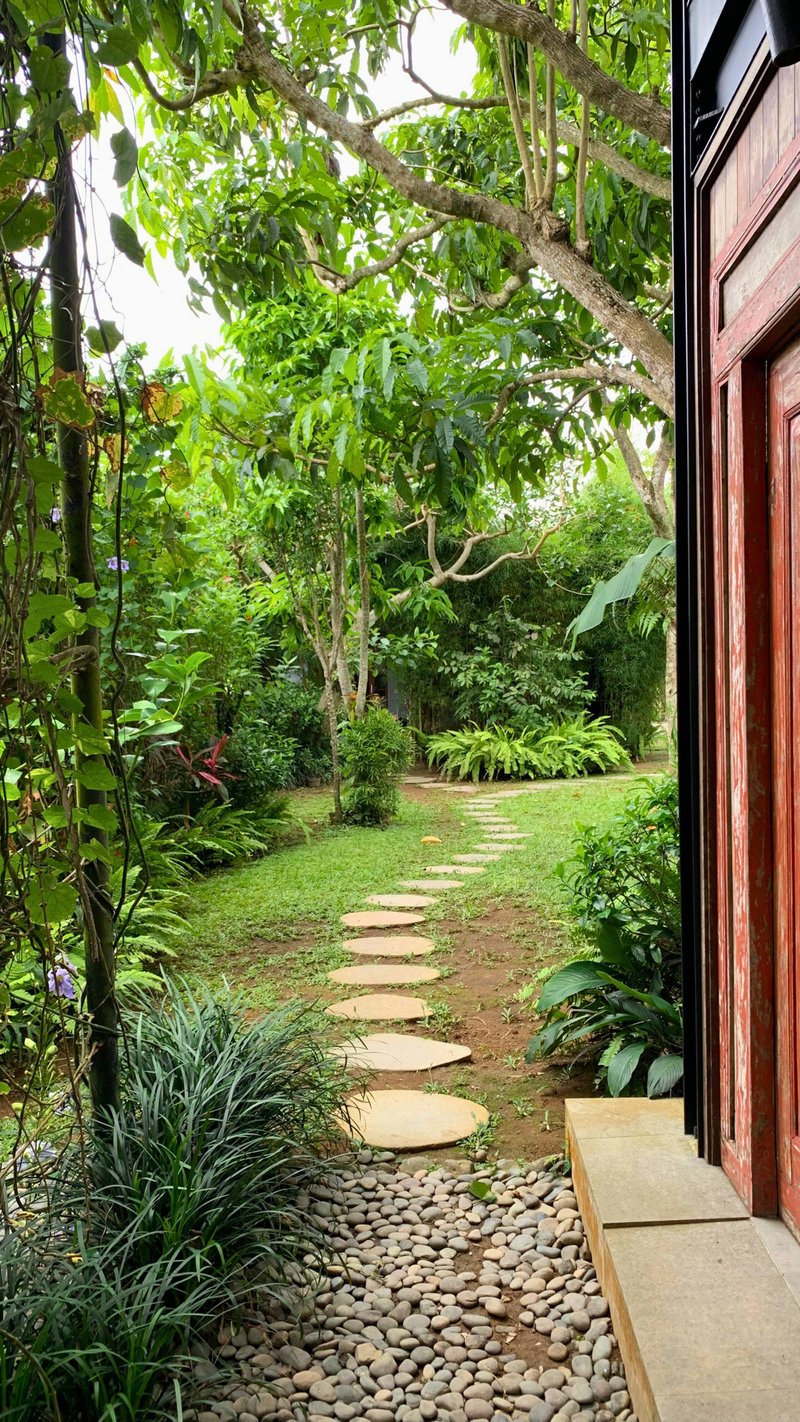 Special price for August. Gorgeous Jungle Villa. 22