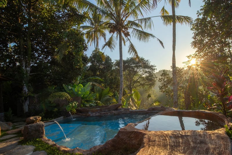 private jungle cabin + private poll + jungle view 40