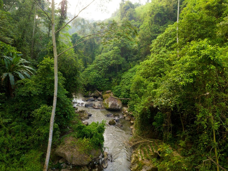 Hideout Jungle/River Villa @ VillaCellaBella 38