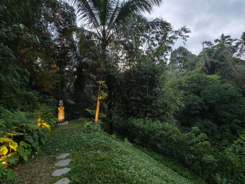 Art & Nature _ Ganesha Guesthouse - Room 8. 18