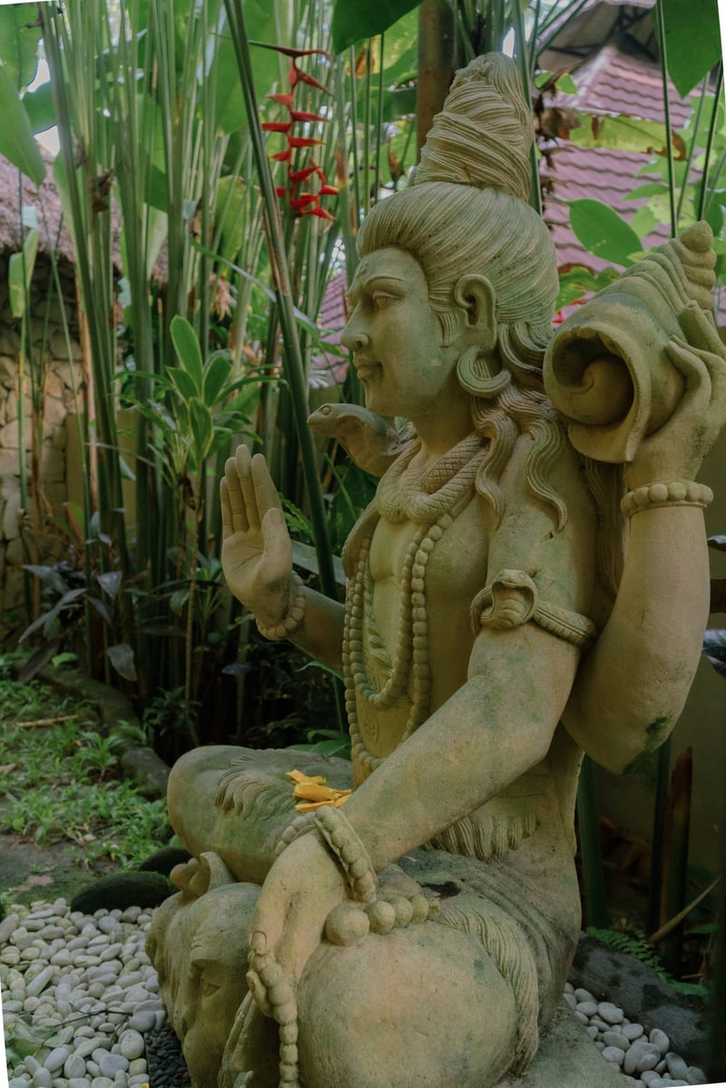 Samyama Self-Healing Centre — photo 4