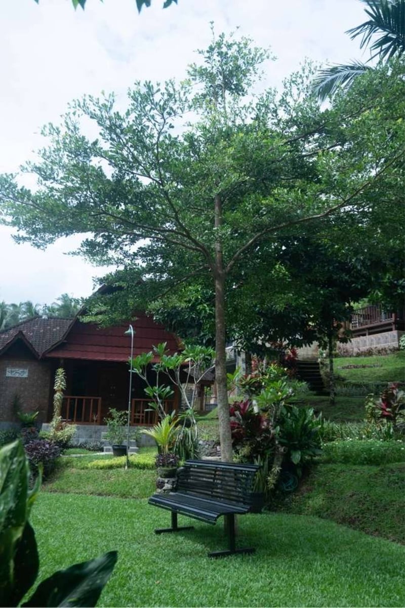 Traquil Retreats Bungalow in Tabanan, Bali 11