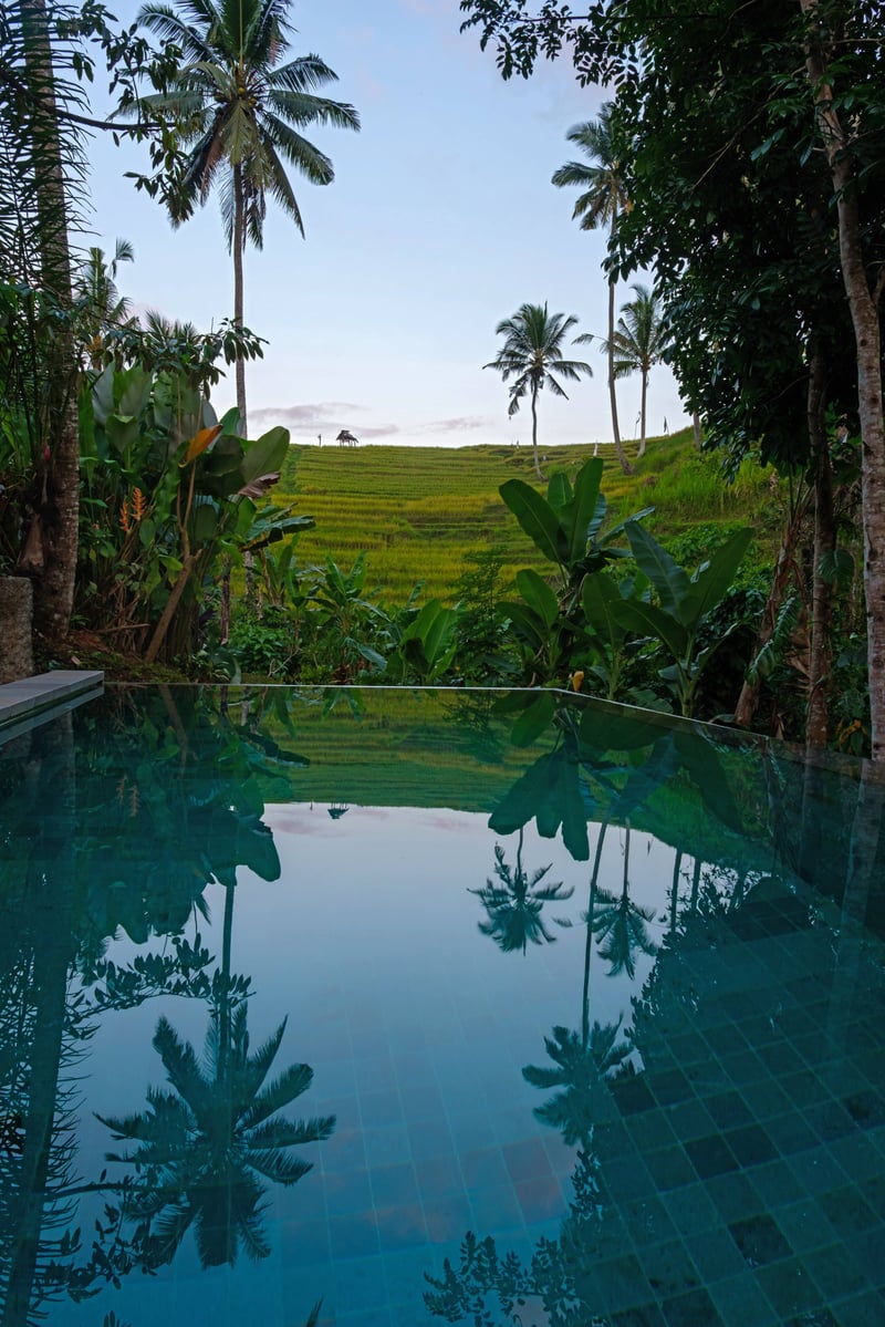 Bebalilodge — photo 4